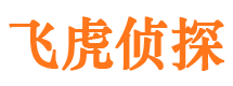 会宁市调查公司